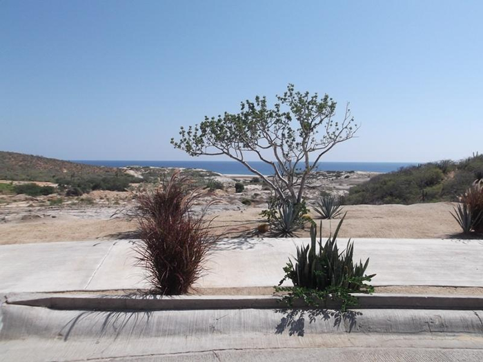 Homesite for sale in Los Cabos